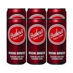 BASHEWS 300ML IRON BREW (6X300ML)