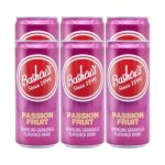 BASHEWS 300ML PASSION FRUIT (6X300ML)